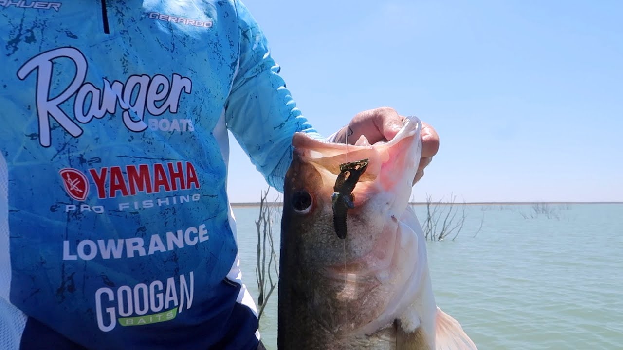 Captura de Lobina Gigante |Presa El Cuchillo