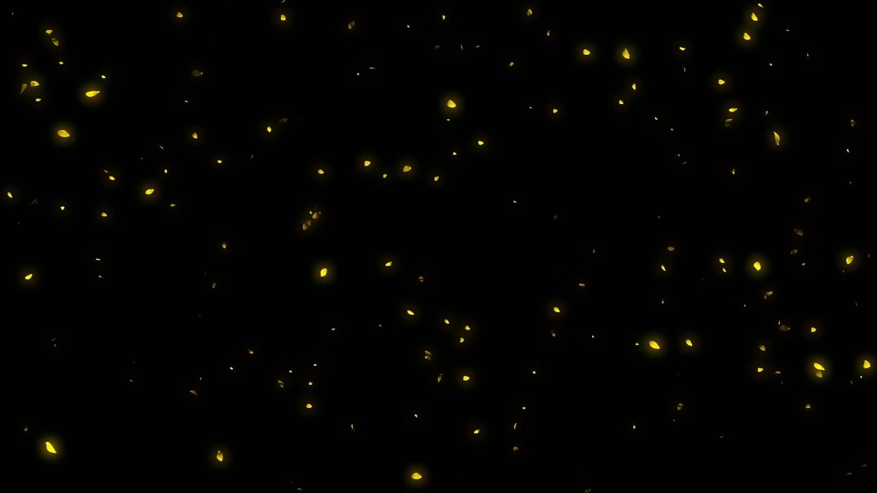 Yellow Flower Falling Petals [1080P]