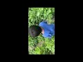Garden peksha chan 😝😝