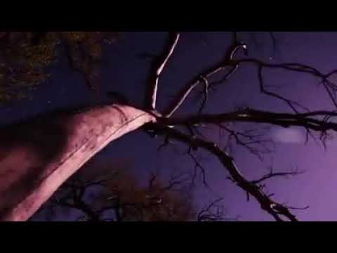 أدر ذكرى من اهوى ولو بملامى فإن احاديث الحبيب مدامى ليشهد سمعى من احب وإن نأى بطيف ملام لا بطيف منا