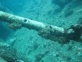 Ghiannis D wreck dive