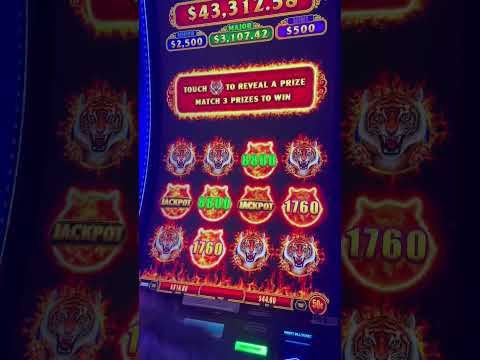 Match Three feature on a $44 bet! Looking for those gold tigers 🐯 #slotwins #majorjackpot #bonus