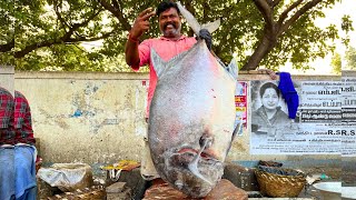 KASIMEDU 🔥 CHEETAH DURAI | 47 KG GIANT TREVALLY FISH CUTTING VIDEO | IN KASIMEDU | FF CUTTING 🔪