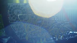 Percussive jam  | Buchla 200e