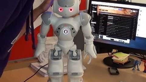 Nao Robot as a ChatBot