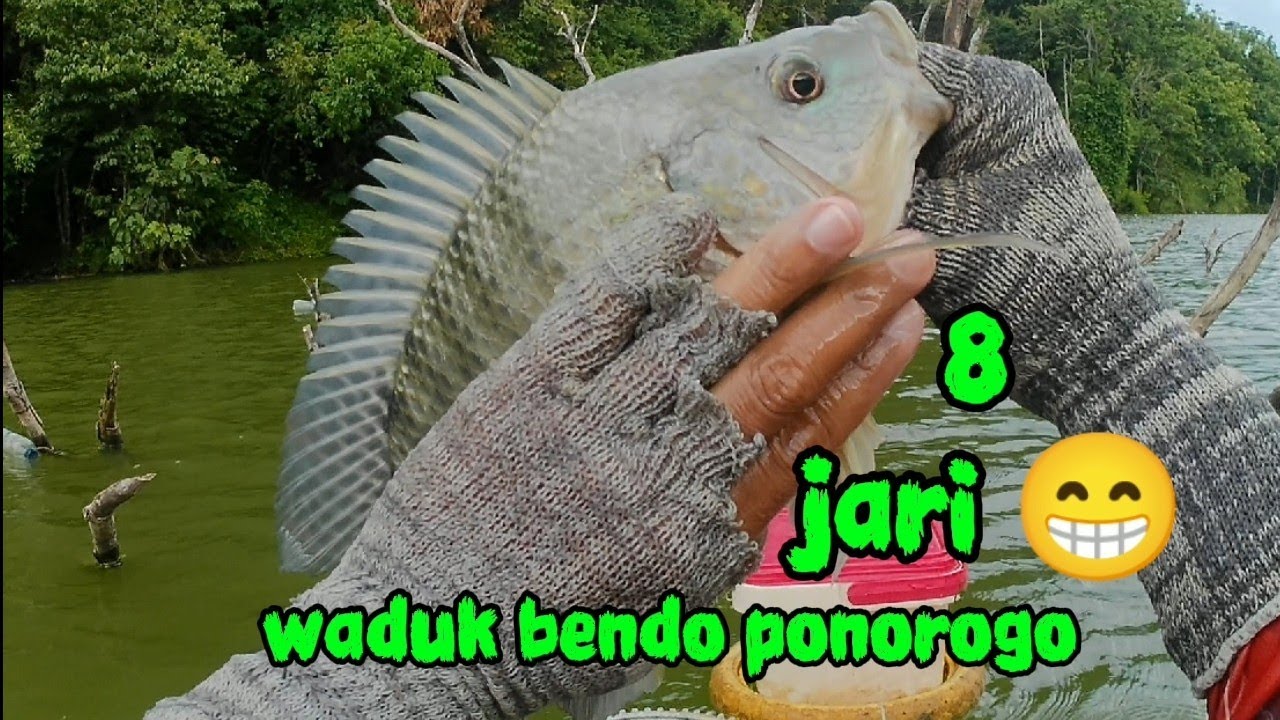 MASIH DI SEPUTARAN WADUK BENDO PONOROGO❗❗