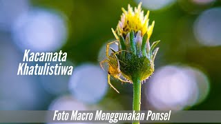 Motret Macro Pake HP ? Tentu Bisa , Ini Tutorialnya screenshot 3