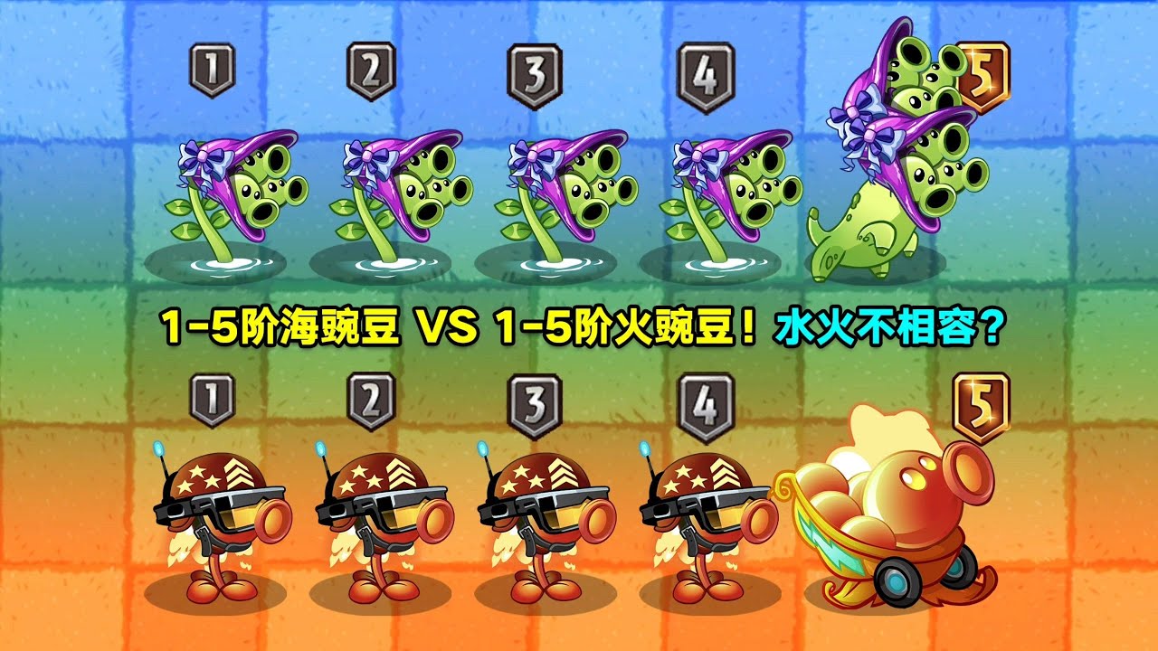 水和火的对决：1 5阶海豌豆 VS 1 5阶火焰大哥！水能灭火？还是火蒸发水？植物大战僵尸