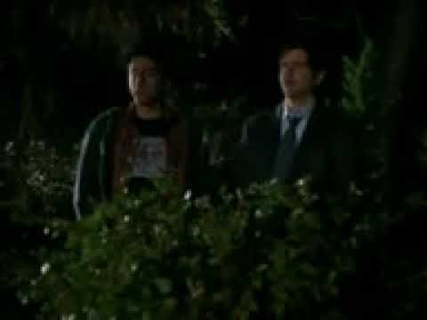 შენი ბუჩქია ? :დდდ