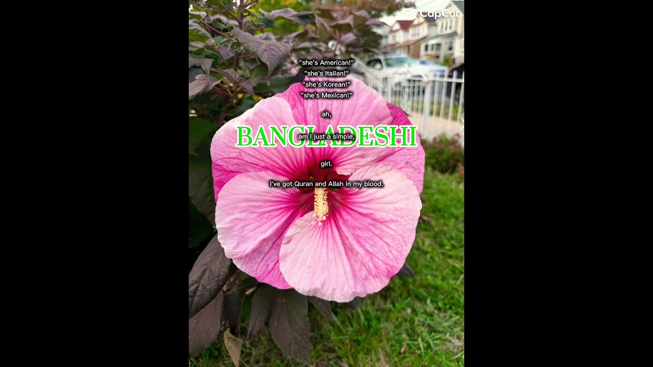 I’m just a simple Muslim girl! 