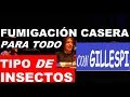 ¡Fumigación Casera para Todo Tipo de Insectos! - Dolina Bartón Gillespi La Venganza Será Terrible