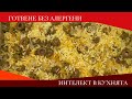 БЪРЗО, ВКУСНО, ЕВТИНО: Ориз с маслини на фурна