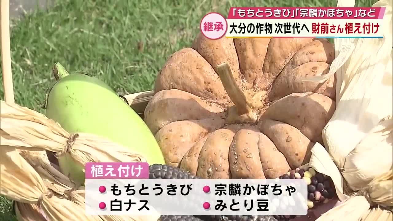 Naomi Zaizen planted traditional crops such as 