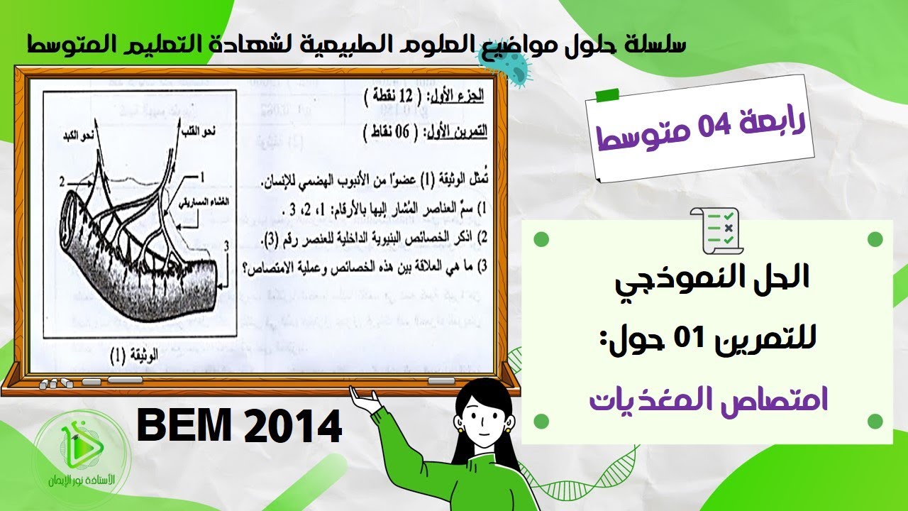 حل موضوع العلوم الطبيعية لشهادة التعليم المتوسط دورة 2014 - حل التمرين 01 حول إمتصاص المغذيات
