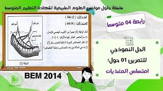 حل موضوع العلوم الطبيعية لشهادة التعليم المتوسط دورة 2014 - حل التمرين 01 حول إمتصاص المغذيات