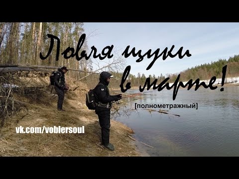 Ловля щуки на весенней реке.Мартовский спиннинг! Видео отчет от 29.03.2015г .