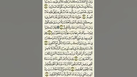 سورة هود من الآية ٣٨ إلى الآية ٤٥بصوت القارئ  #ماهر_المعيقلي #القران_الكريم #فلسطين_الان