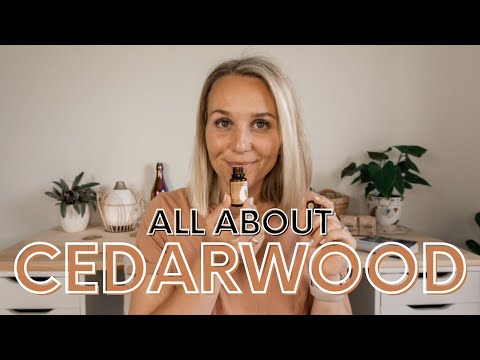 Cedarwood Essential Oil کے استعمال اور فوائد - Cedarwood Essential Oils 101 | تورے نورا۔