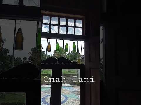 Omah Tani 10