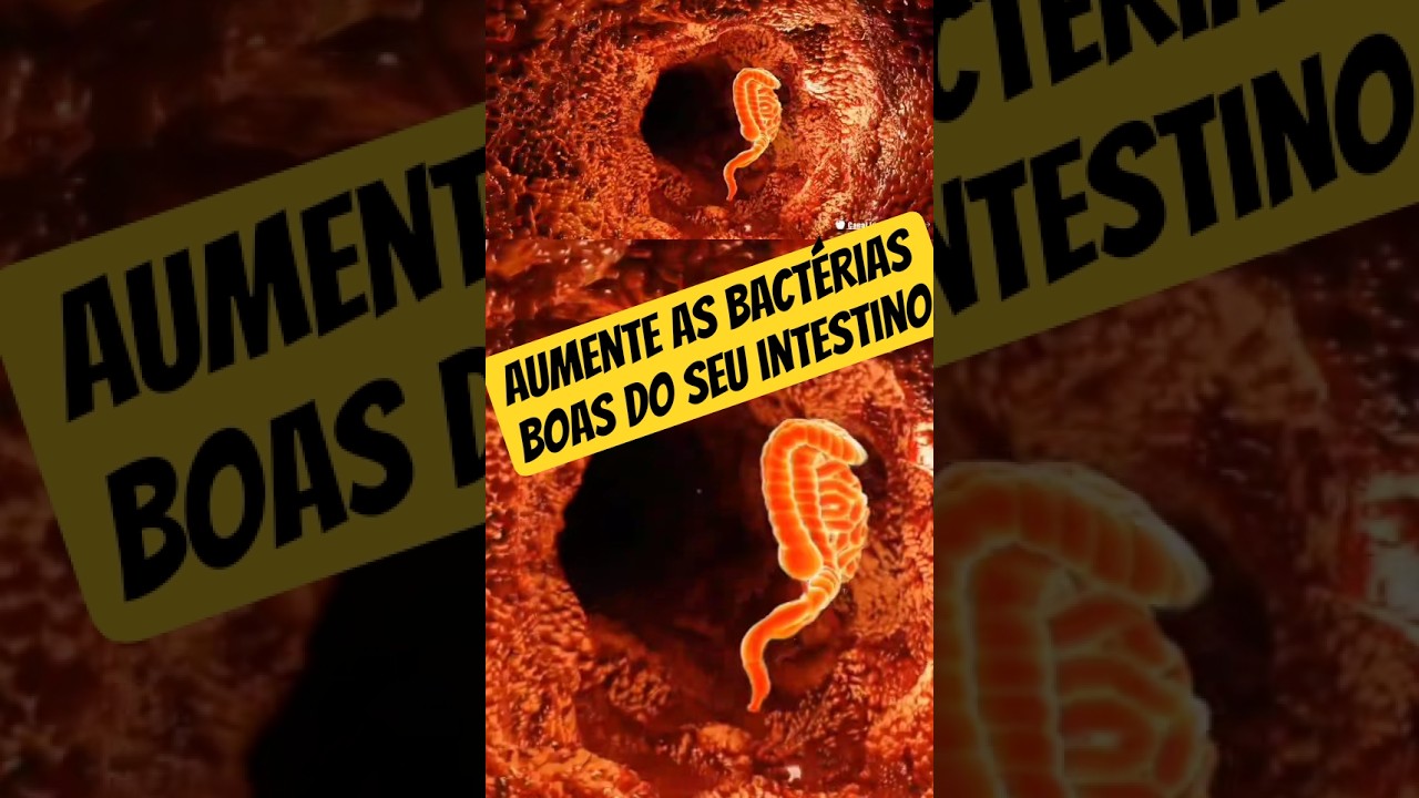 MASTIGAR 1 A 2 DESSES POR DIA PARA RECUPERAR A SAÚDE DO SEU INTESTINO. #ciencia #saude #intestino