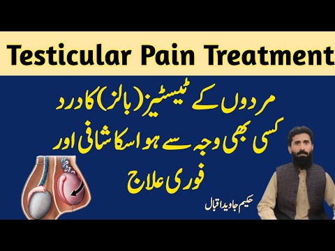 Right Testis Pain