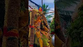 அண்ணாநகரில் கள்ளழகர் தங்க குதிரை வாகனம்...