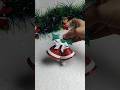 Christmas bell | Glue & Glitter | Hand Made | Craft #jinglebell #christmasdecor #craft