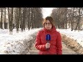 События Череповца: кража орехов, комфортная городская среда, флорбол в детские сады