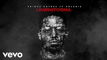 Prince Kaybee - Umenitosha (Visualizer) ft. Polaris