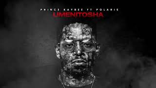 Prince Kaybee - Umenitosha (Visualizer) ft. Polaris