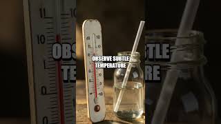 Living Room Lab Chronicles Five Safe Home Experiments