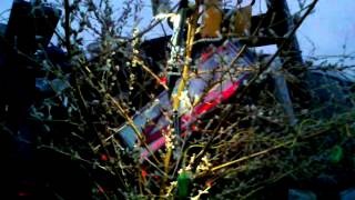 Darrens redneck Christmas tree
