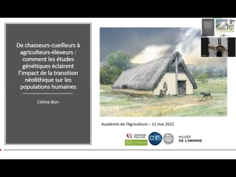 11/05/2022  : Intervention de Céline BON, MC MNHN – UMR 7206 MNHN-CNRS-Univ. Paris.