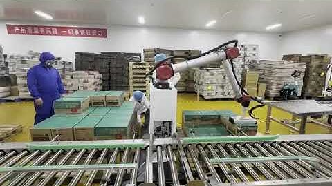 Food-Grade Collaborative Palletizing Station | Safe, Flexible & Easy to Use