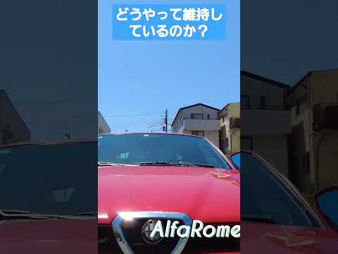 【ザガート】AlfaRomeo 155 GTA ザガート！！超希少車です！ #shorts