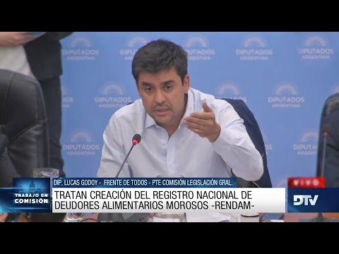 COMISIÓN EN VIVO: 2 de noviembre de 2022 - PLENARIO - Diputados Argentina