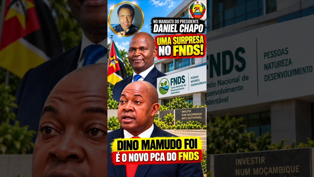FNDS: NOVO PCA ABDICA DE REGALIAS E ANUNCIA AUDITORIA