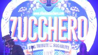 ZUCCHERO - IRUBEN ME Feat. SUGARLIVE BAND TRIBUTO A ZUCCHERO