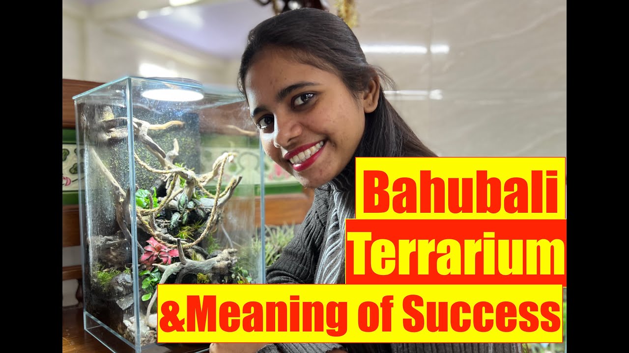Bahubali Terrarium & Meaning of Success 3D Moss Rope Nature