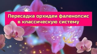 :    Nadion          