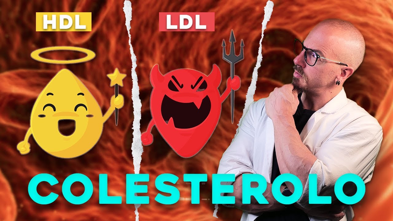 Il colestero, cos’è? Perchè potrebbe fare male?