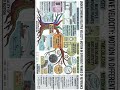 PhysicsLife Motuon in different frame of reference
