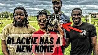 Blackie Has New Home by Iron Sharp K9  434 views 1 month ago 2 minutes, 11 seconds