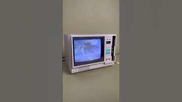 Wake up… its 1993 🦖