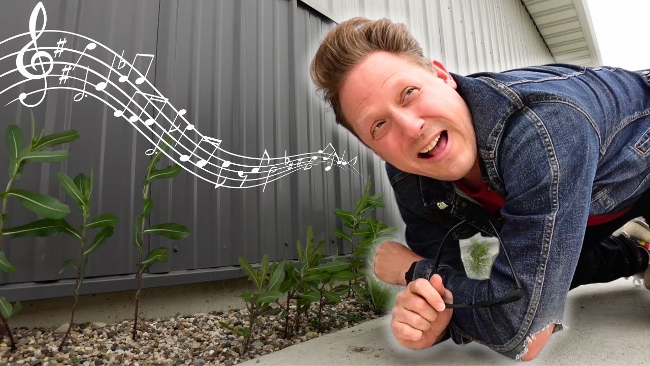 THIS GEOCACHE PLAYS ROCK AND ROLL!? 