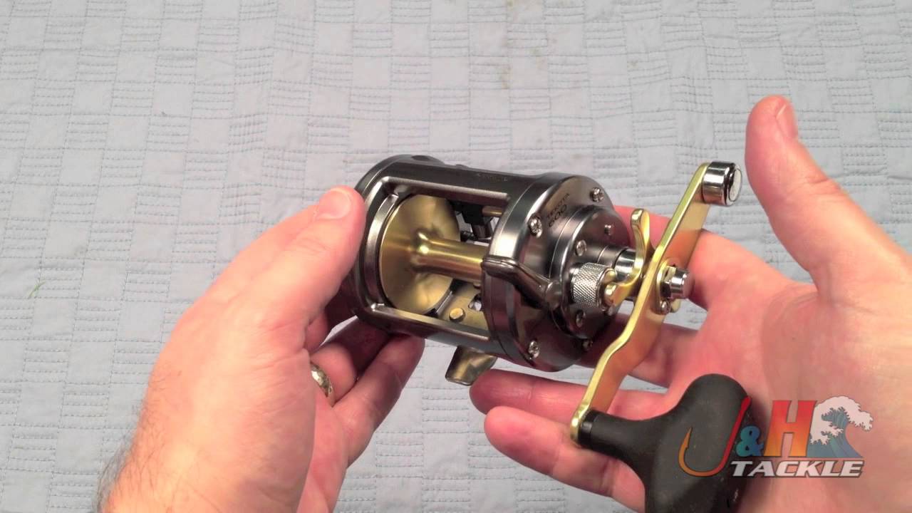 Shimano Tekota TEK600 Levelwind Reel - J&H Tackle 