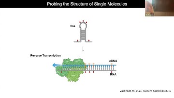 RNA Function, Design, and Modeling