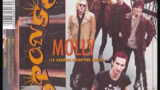 Sponge: Molly (16 candles down the drain) chords