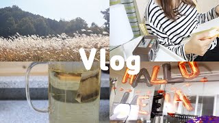 SUB) 할로윈파티준비ㅣ스트레스해소법ㅣ브리타정수기ㅣHalloween partyㅣVLOG