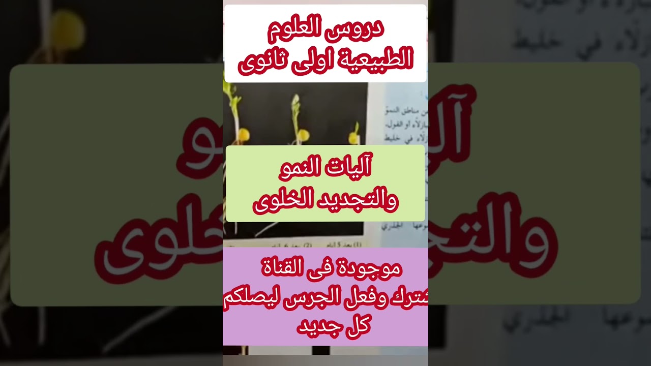 النمو والتجديد الخلوى اولى ثانوى #اولي_ثانوي #النمو_و_التجديد_الخلوى#علوم_طبيعية #اكسبلور